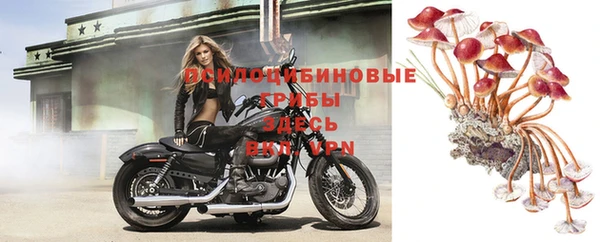 герыч Балахна